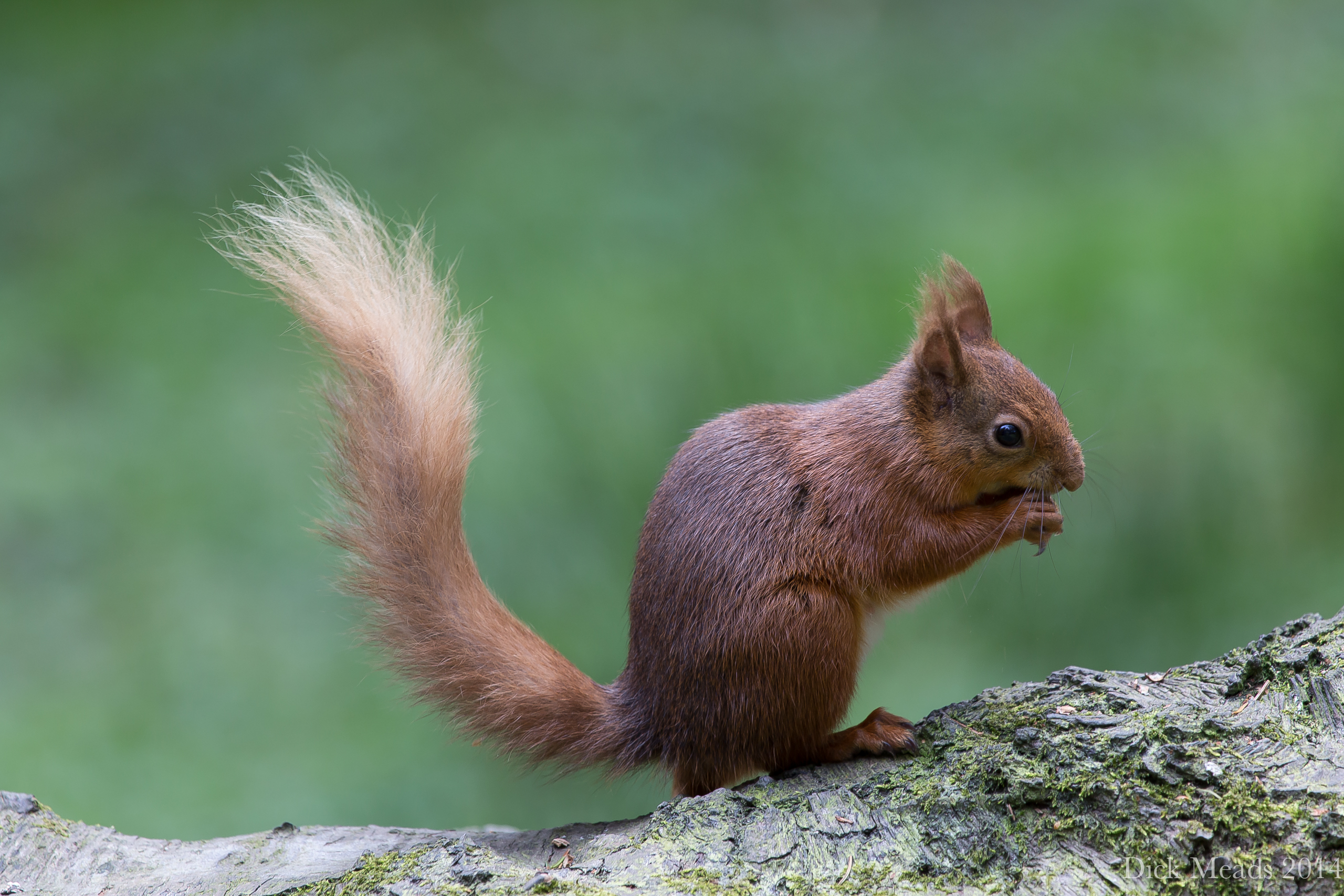  MG 7340